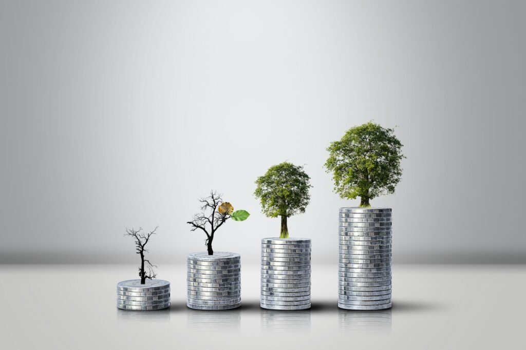Pile of coins stacked and tree growth
